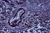 Water droplets (close-up)