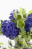 A bunch of hyacinths and hellebores (close-up)