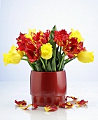 Rote und gelbe Tulpen in Vase