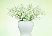 Lily of the valley in a vase