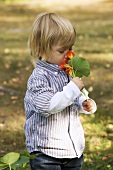 Boy smelling at nasturtiums