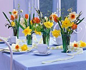 Narcissi and tulips in glass vases on table