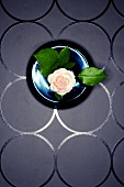 Eine Rosenblüte auf schwarzem Teller