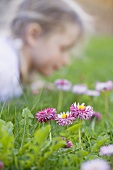 Daisies in grass, child in background