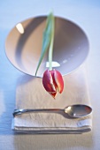 Tischdeko mit einer Tulpe