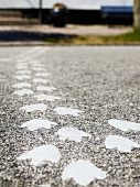 Duck footprints on asphalt
