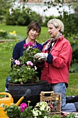 Two women planting up containers in garden
