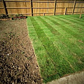A garden with turf and a wooden fence