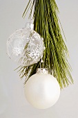Two Christmas baubles on pine branch