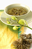 Green tea with tea flower