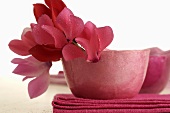 Pink cyclamen flowers in small bowl
