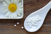 Homeopathic remedy (globuli) and chamomile flower