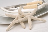 Place-setting decorated with starfish