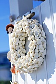 Wreath of shells on a wooden wall