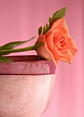 Rose on stacked bowls