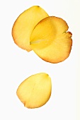 Yellow rose petals