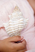 Child's hand holding sea shell