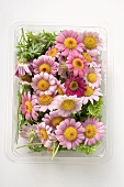 Flowers in plastic tray