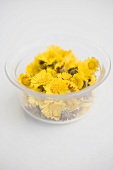 Coltsfoot flowers in a glass bowl