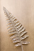 Silver fern (Christmas decoration)