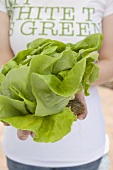 Young woman holding fresh lettuce from the garden