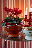 Red cyclamen (Christmas decorations)