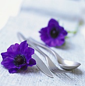 Cutlery with anemones