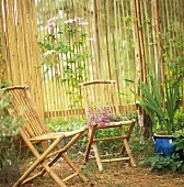 Two bamboo chairs in garden