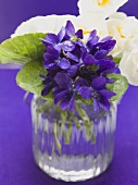 Violets in a glass of water