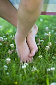 Feet on grass with white clover