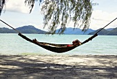 Woman in hammock by sea (Malaysia)