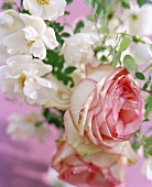Pink and white roses in a vase