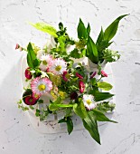Gänseblümchen und verschiedene Wildkräuter in kleinen Vasen