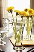 Dandelions in Glasses on a Table