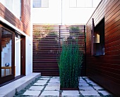 Zeitgenössisch gestalteter Innenhof mit Pflanzung im Bodenfliesenraster vor Holzlamellenwand