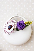 A blue daisy and lisianthus in a round vase