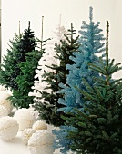 Verschiedenfarbige Deko-Weihnachtsbäume und weiße Deko-Papierkugeln