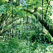 Chandeliers hanging in a tree, some with candle and decorative crystal elements