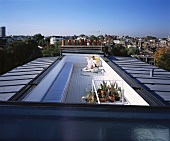 Liege mit lesender Person auf langer Dachterrasse mit großartigem Panoramablick über die Stadt