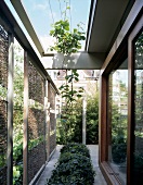 Planting area between wicker sun screens and wide sliding doors in an English house