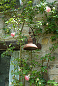 Old copper lamp on stone wall with rose tendrils