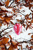 Rosa Herzförmiger Christbaumschmuck hängt in verschneiter Hecke