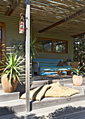 Terrace area with wooden decking, plants in terracotta pots and seating area