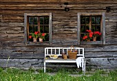 White bench with peeling paint against facade of wooden farmhouse with potted red geraniums on windowsills