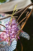 Sprigs of purple flowers tied to backrest of metal chair