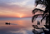 Reflection of palm tree in infinity pool with view of sunset on horizon over sea