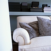 Scatter cushions on sofa