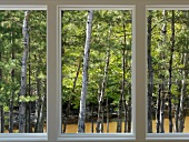 Fenster mit Ausblick in Wald