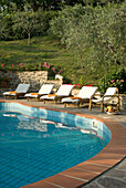 Sun loungers by the pool with olive trees in the background