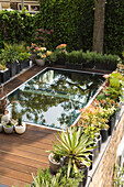 Modern garden pond, wooden deck and surrounding planting